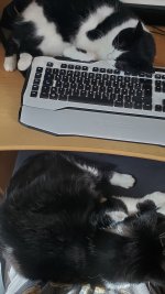 20230828_121514.jpg