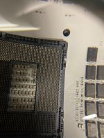 IMG_8036.jpeg
