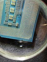 IMG_8045.jpeg