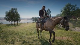 RDR2 2023-11-29 19-56-57 original-1x_GainRESV3_Natural.jpg