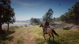 RDR2 2023-11-29 19-58-38-1x_GainRESV3_Natural.jpg