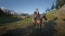 RDR2 2023-11-29 20-07-08 original-1x_GainRESV3_Natural.jpg