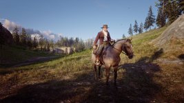 RDR2 2023-11-29 20-07-08-1x_GainRESV3_Natural.jpg
