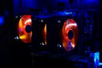 DSC00803.jpg