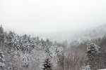 IMG_0430.jpg