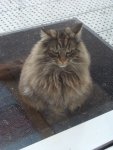 k-DSC07986.JPG