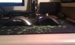 IMG_20111228_194203.jpg