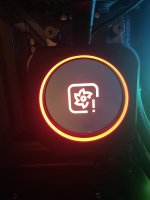IMG_7952.jpeg