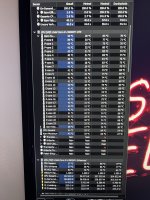 IMG_2256.jpeg