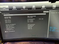 IMG_0741.jpeg