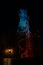 IMG_2524.jpg
