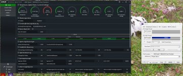 75W-x-138W-Aufnahme.jpg