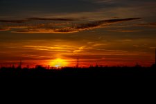 IMG_2593.jpg