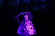 IMG_2646.jpg