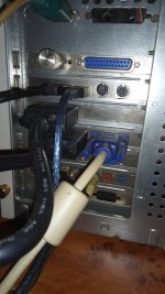 IMG_20240202_090527.jpg