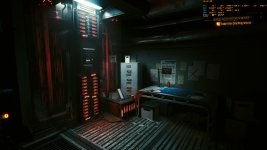 Cyberpunk2077_2024_02_25_18_42_41_118-1x_GainRESV3_Natural.jpg