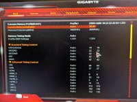 1000035318.jpg