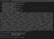 Python Server lokal.jpg