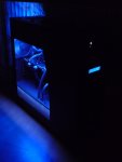 p1100982y9ae7.jpg