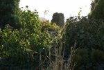 DSC03085_900.jpg