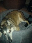 DSC00327.JPG