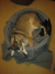 DSC00328.JPG