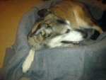 DSC00329.JPG