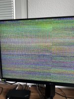 IMG_0465.jpeg