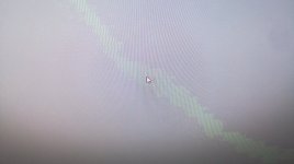 bug 1.jpg