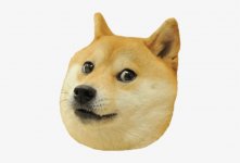 47-471829_doge-head-big-wow-such-doge-wow-such.jpg