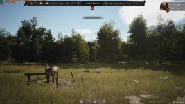 _1 Native.jpg