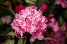 IMG_3022.jpg