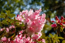 IMG_3084.jpg