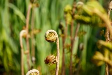 IMG_3012.jpg