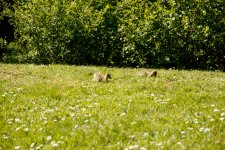 IMG_3064.jpg