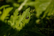 IMG_3128.jpg