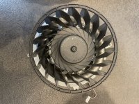 IMG_1726.jpeg