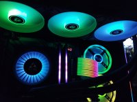 IMG_20240408_161545.jpg