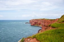 IMG_3489.jpg