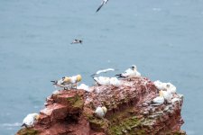 IMG_3325.jpg