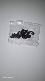 20240702_212801.jpg