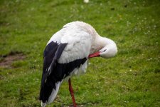 IMG_3758.jpg