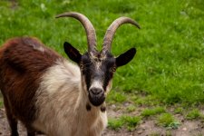 IMG_3826.jpg