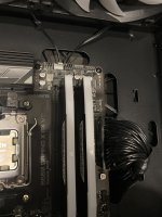 IMG_2497.jpeg
