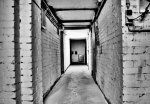 PICT3700 s-w.jpg