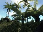 crysis64 2010-04-15 19-42-32-29.jpg