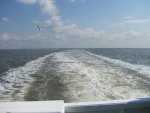 Hallig Langeneß (1).jpg