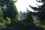 DSC03084_900.jpg