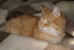 DSC03091_900.jpg