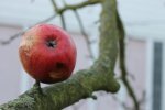 IMG_5014.jpg
